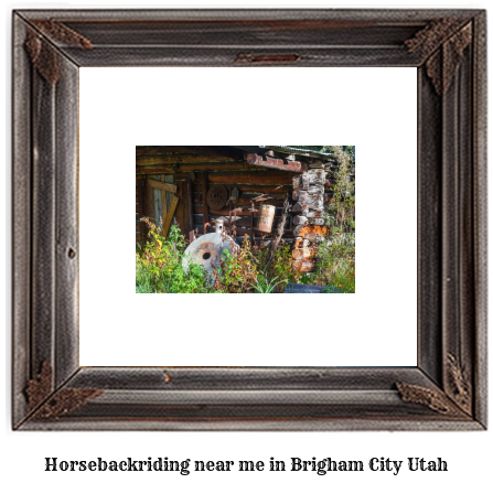 horseback riding near me in Brigham City, Utah